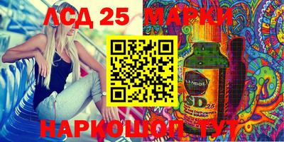гидра Дубна