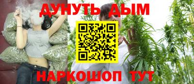 гидра Дубна