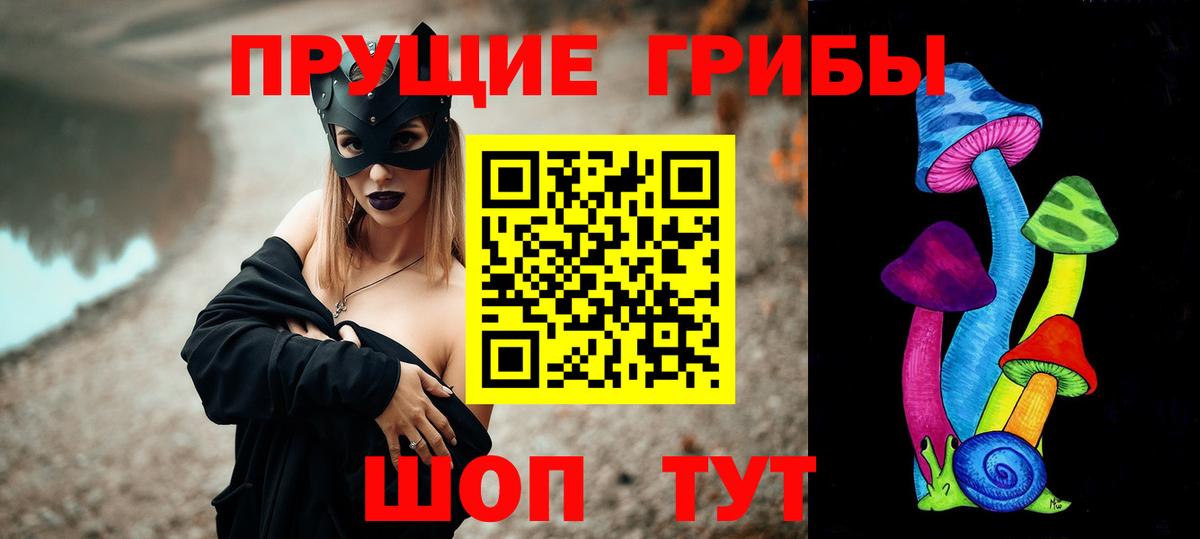 Мичуринск  Псилоцибиновые грибы Psilocybe  Вход с VPN 